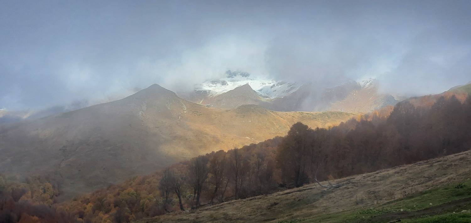 Photo #10111522