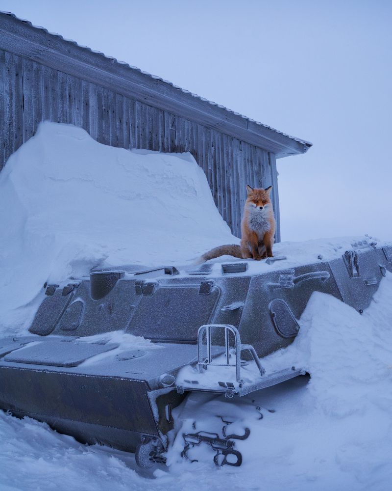 Фотография автора Алексей Проняхин