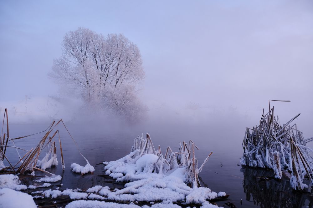 Photograph by Василий Арлашов