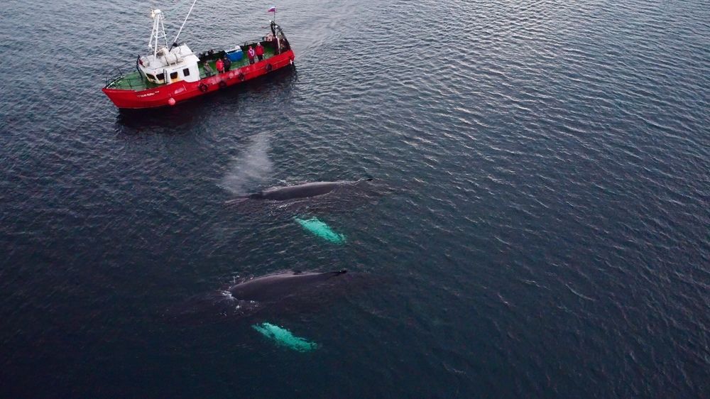 Photograph by Ольга Волкова