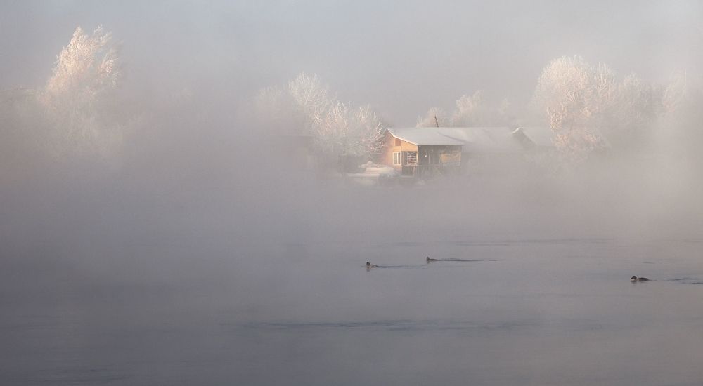 Photograph by Александр Попов