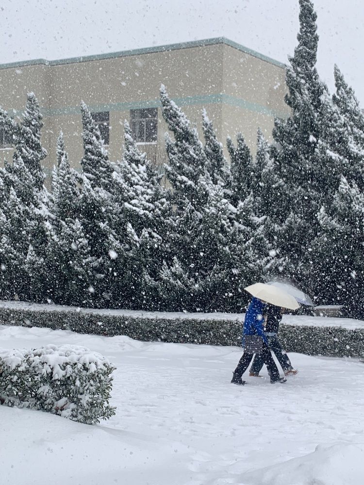 Photograph by Milena Konstantinova