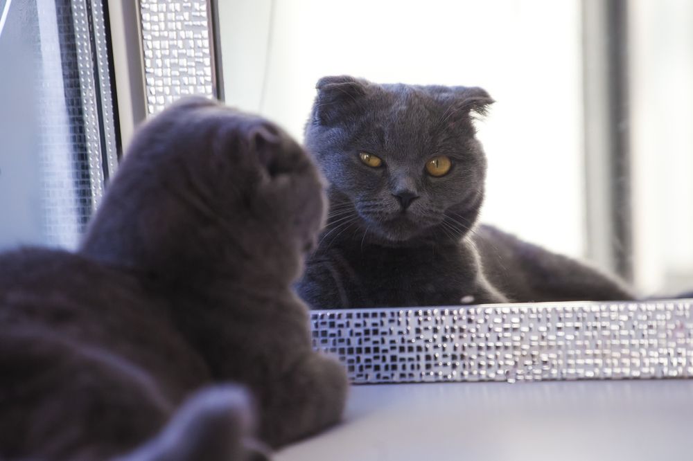 Photograph by Ирина Кузькина