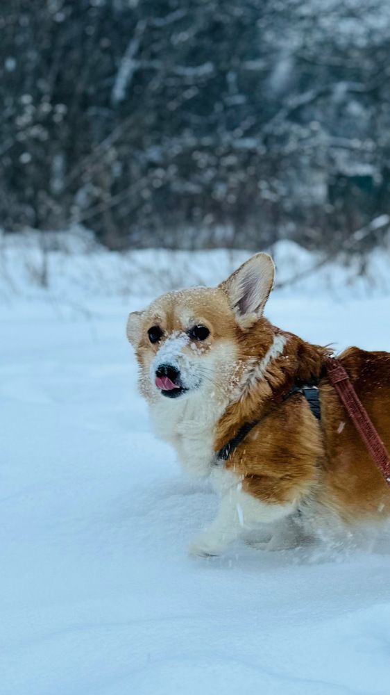 Photograph by Елена Клейменова