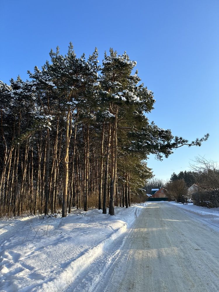 Photograph by Елена Клейменова