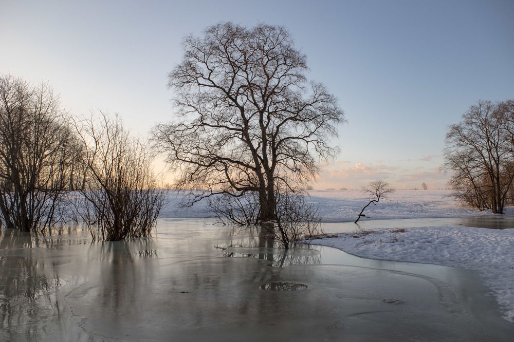 Photograph by Ленин Сергей