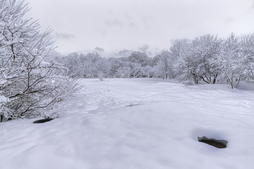 Photograph by Юрий Левко
