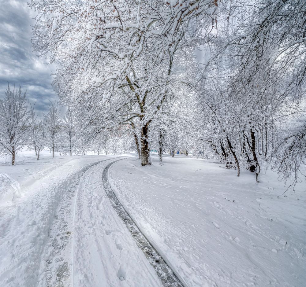 Photograph by Юрий Левко