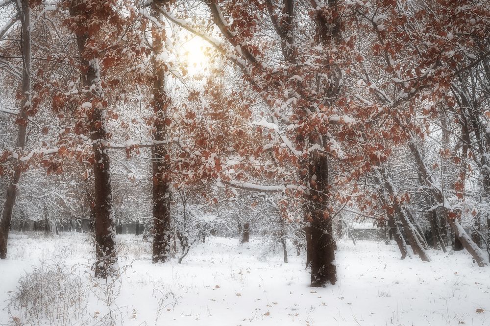 Photograph by Юрий Левко