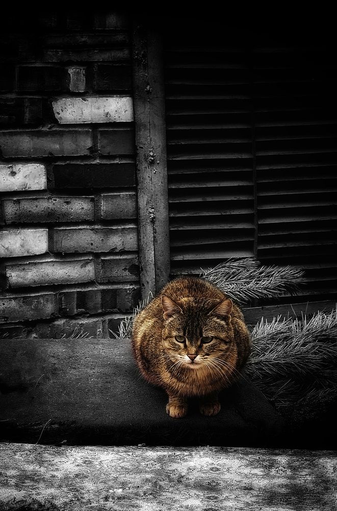 Фотография автора Ольга Игуменова