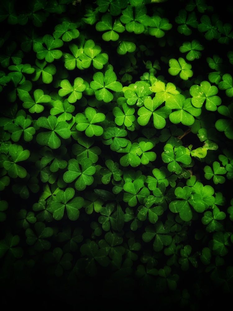 Фотография автора Ольга Игуменова