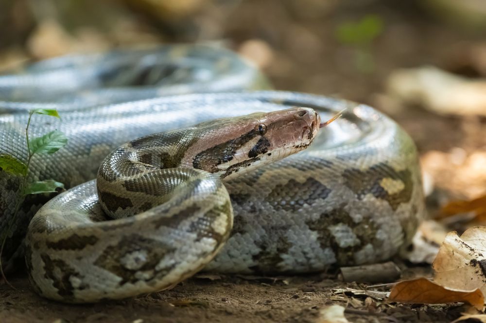 Photograph by Sameer Bhalekar