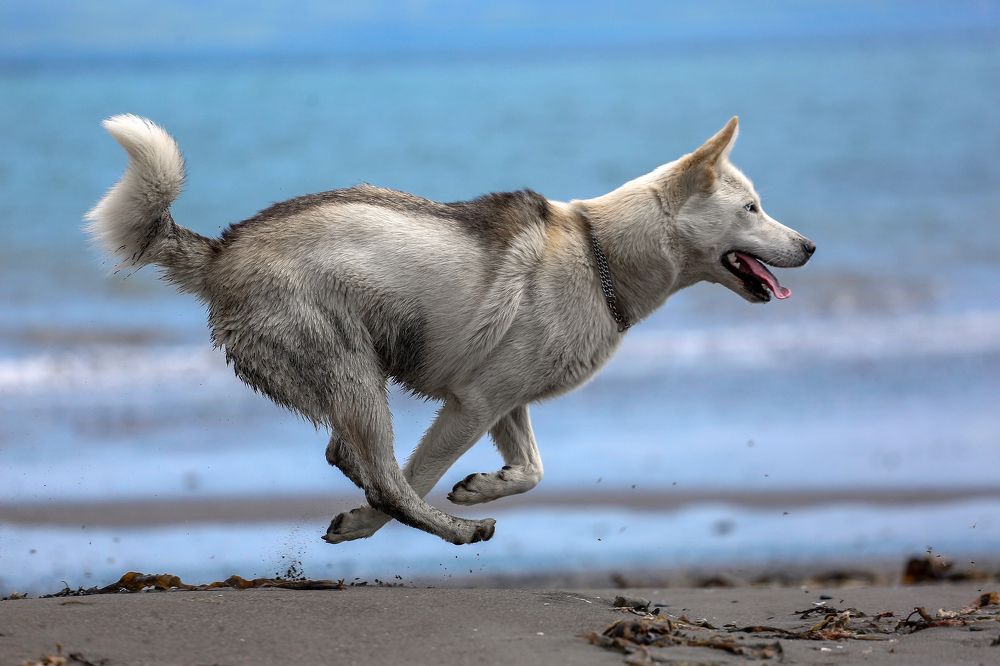 Photograph by IrenRRR