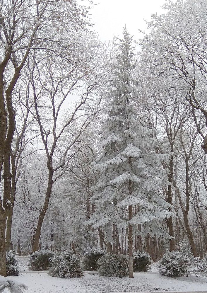 Photograph by Елена Должикова