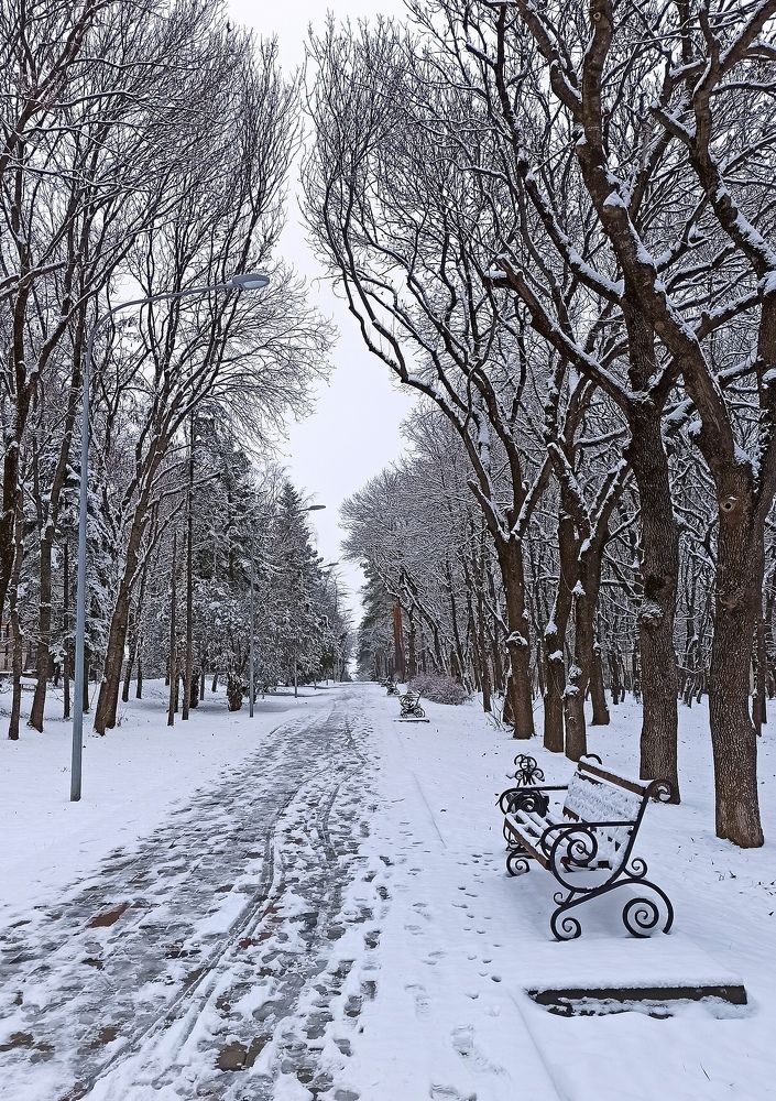 Photograph by Елена Должикова