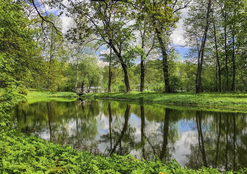Photograph by Анастасия Семилетова