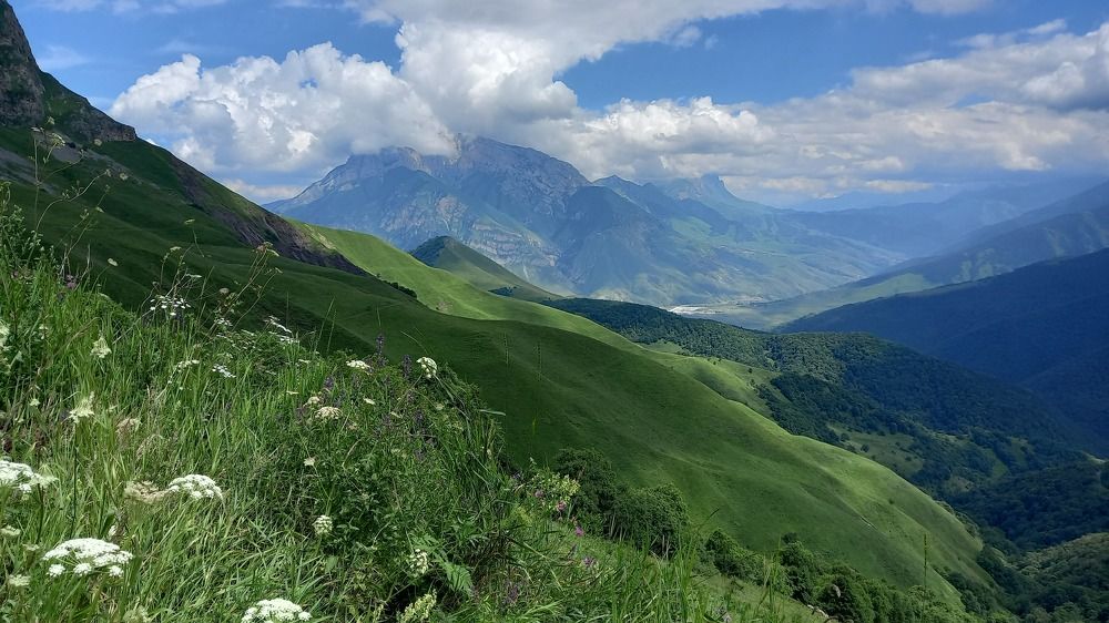 Photograph by Людмила Ярош