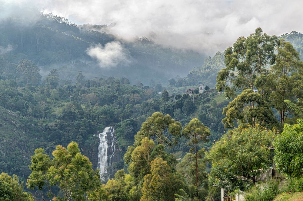 Горы Шри-Ланки, ущелье Элла.