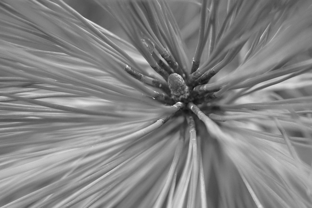 Photograph by Алфия Бугакова