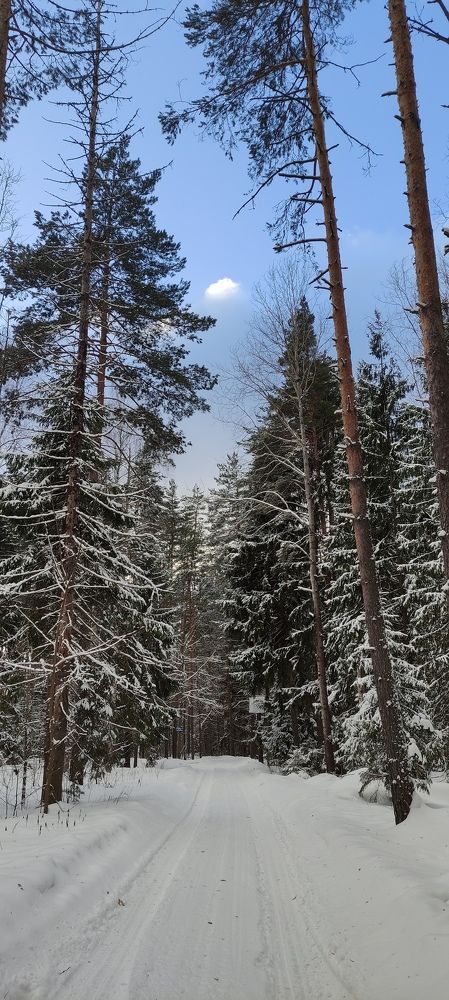 Фотография автора Васильева Ирина