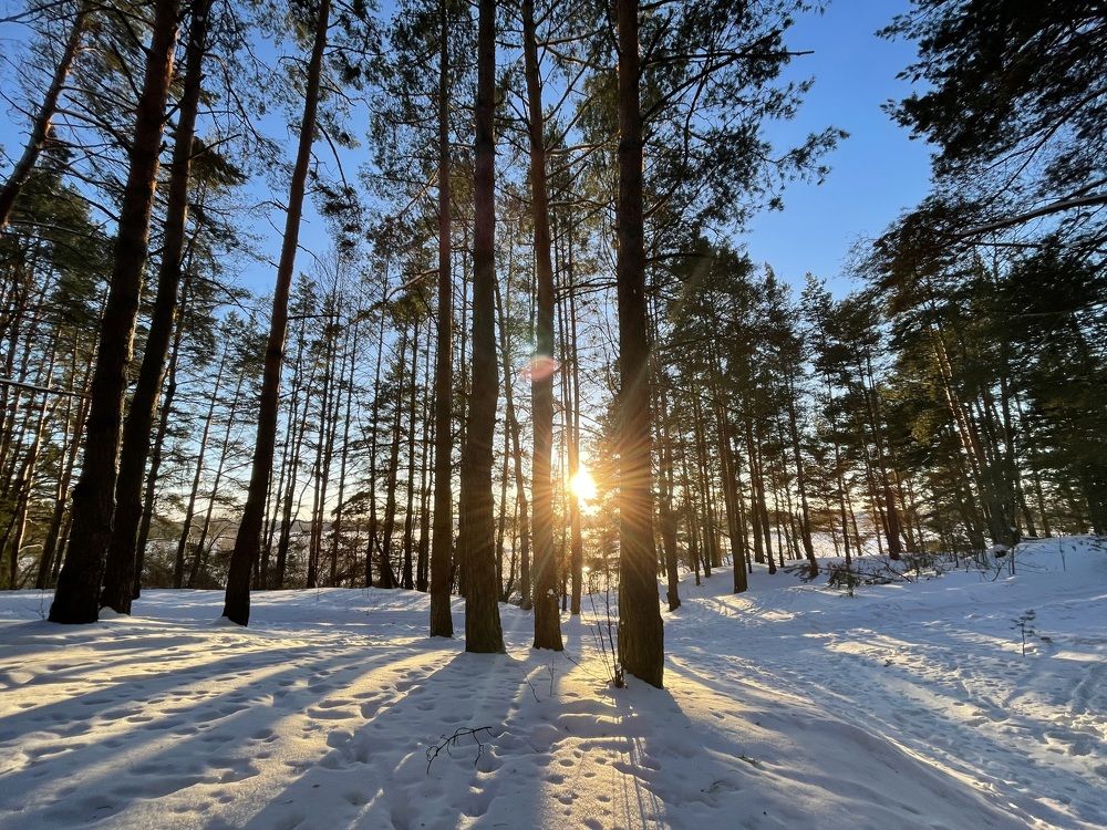 Photograph by Марина