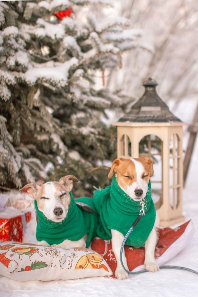 Photograph by Ольга