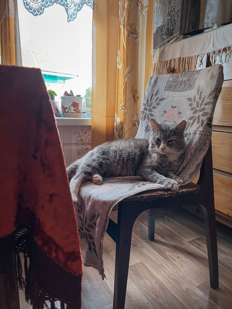 Photograph by Наталья Простова