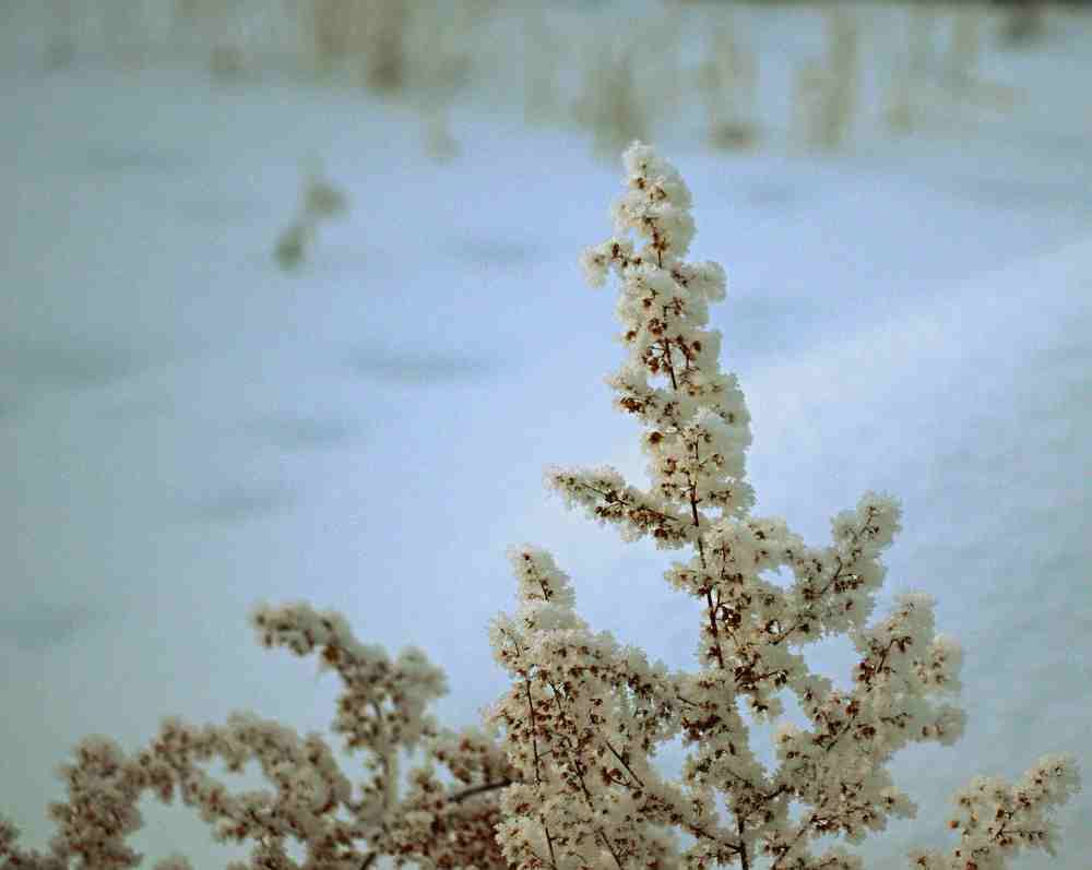Photograph by Олег Хамуев