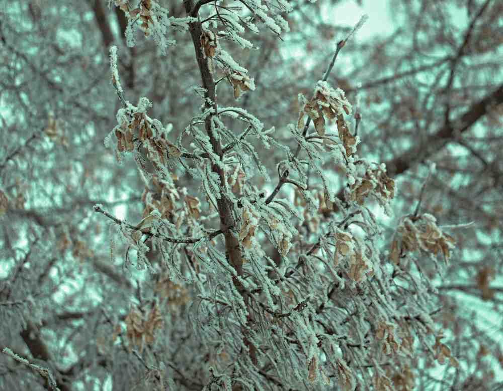 Photograph by Олег Хамуев