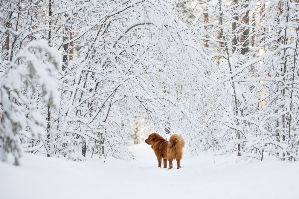 Photograph by Елена Якусева
