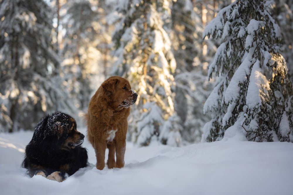 Photograph by Елена Якусева