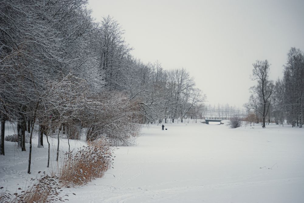 Photograph by Alexandr Bezuglyi