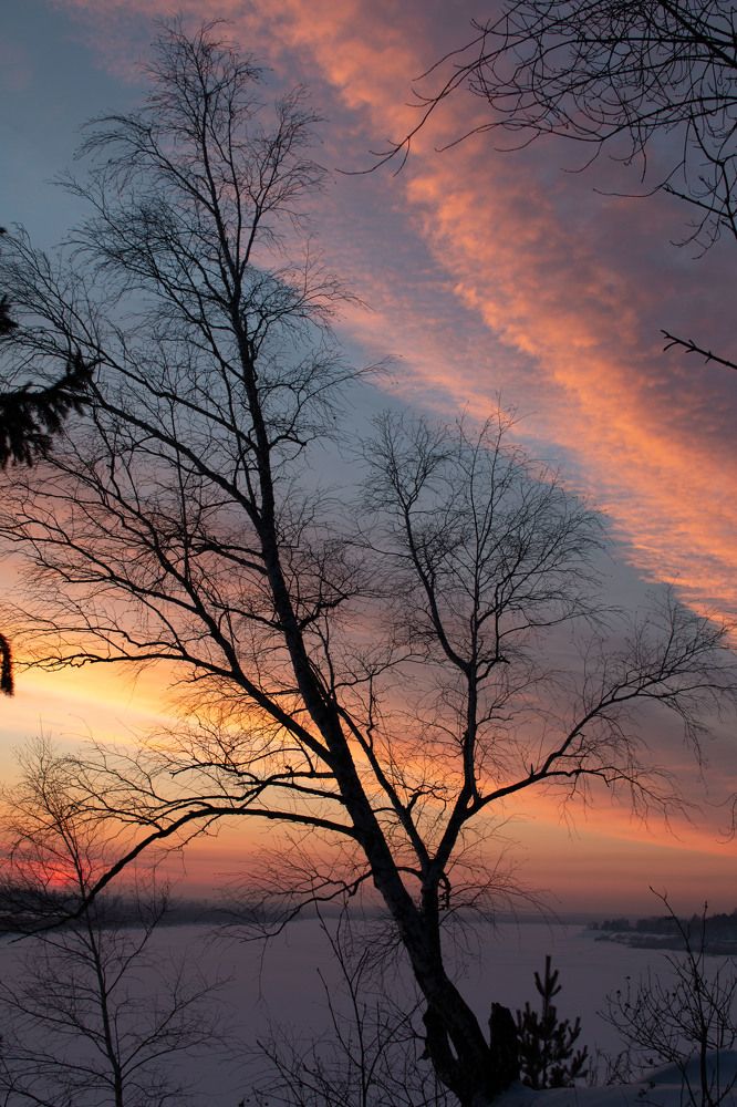 Photograph by Ирина Рыжова