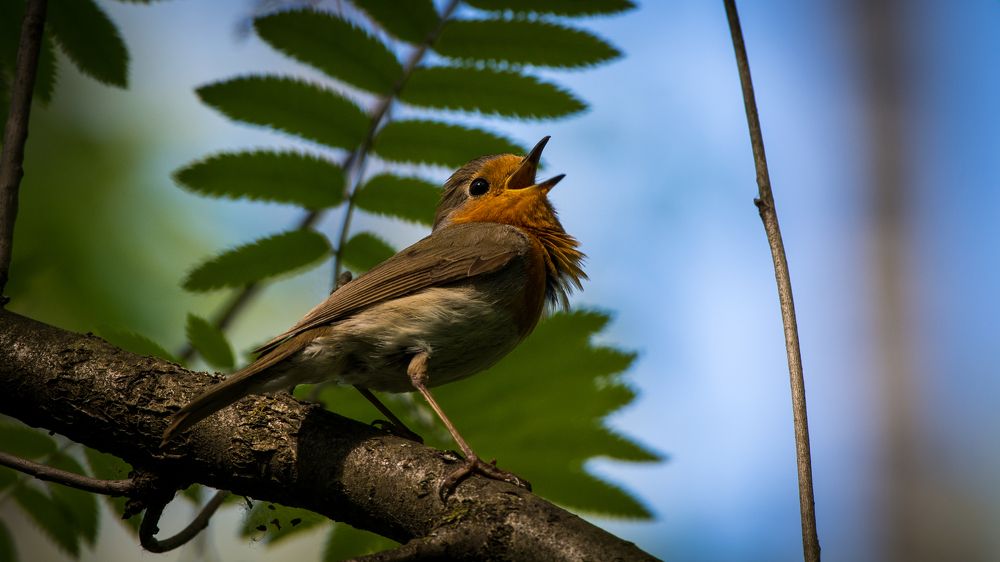 Photograph by Sofia Belyaeva