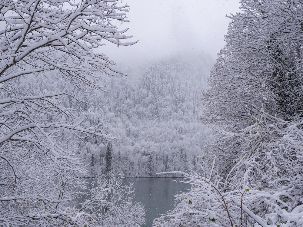 Photograph by Larisa Usova