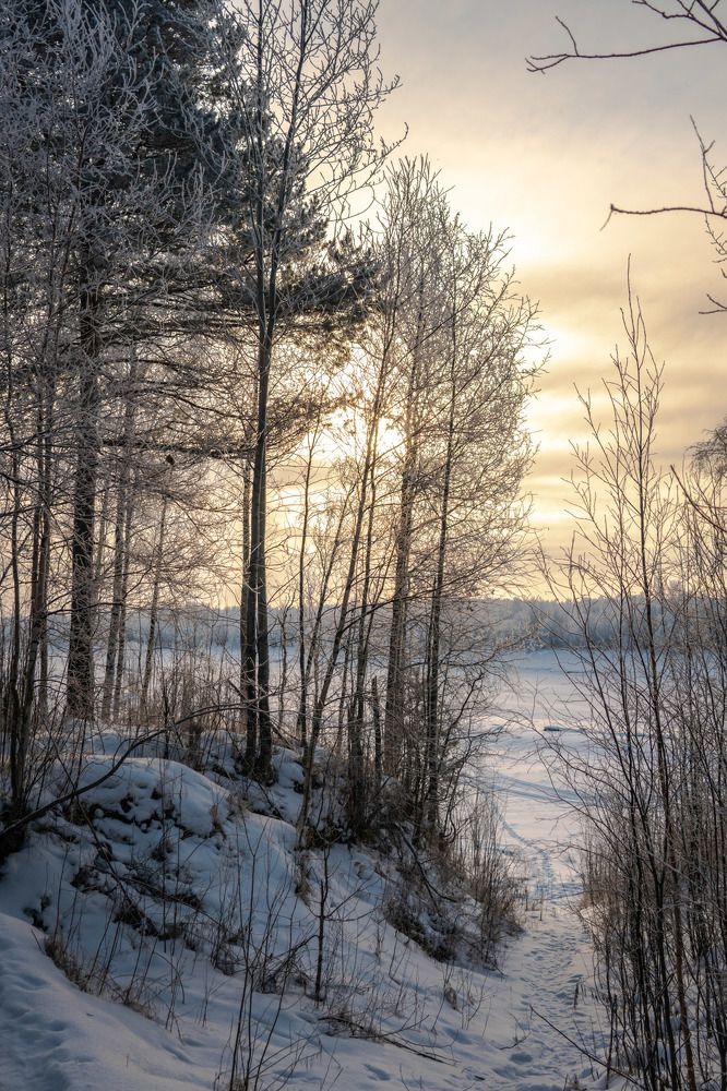 Январский вечер