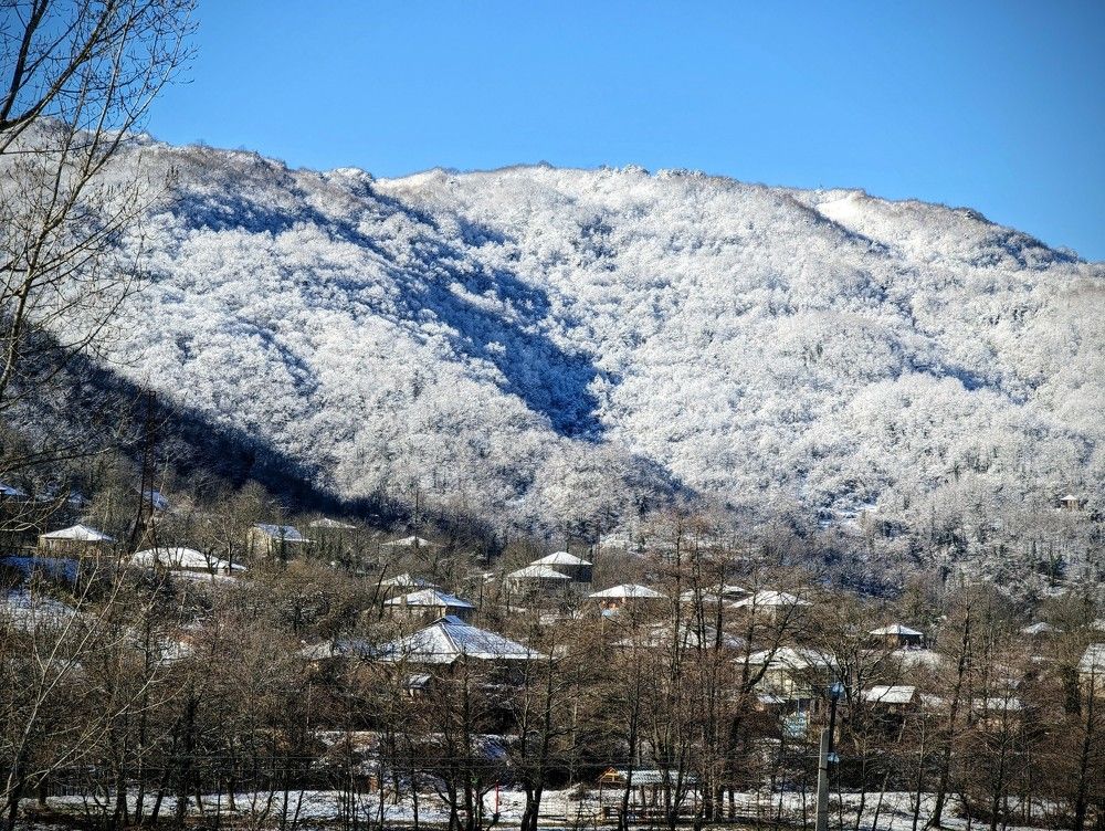 Фотография автора Ольга Костенко