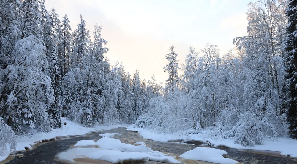 Photograph by елена