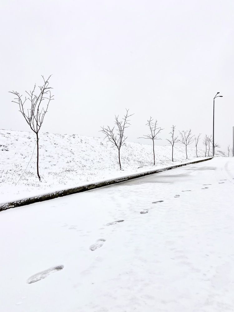 Photograph by Роман Крутов