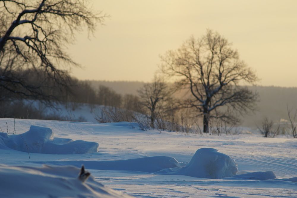 Photograph by Александр Кизим