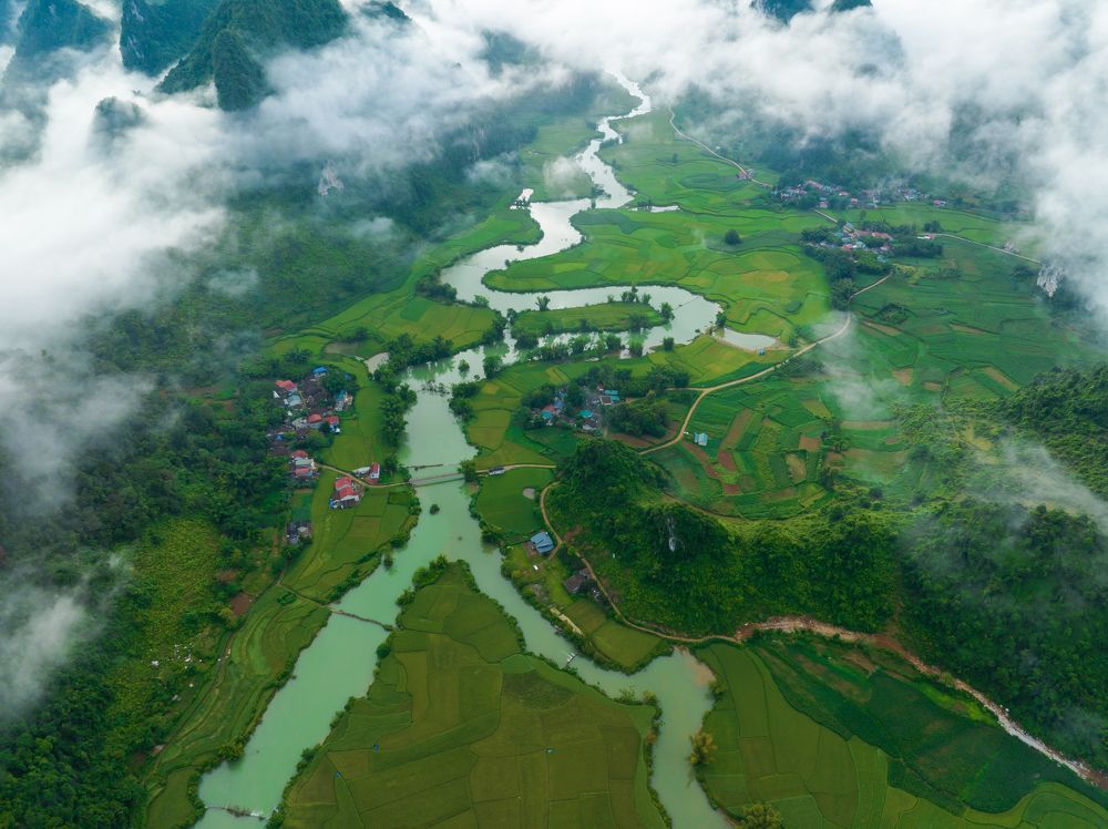 Фотография автора NGUYEN XUAN BAC