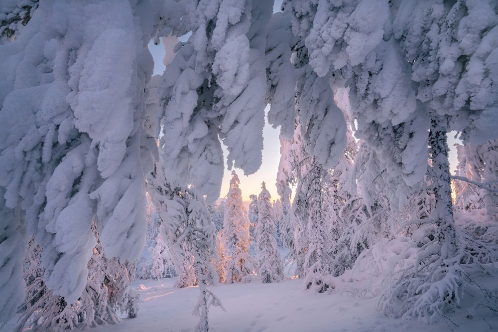 Photograph by Ольга Мусиенко