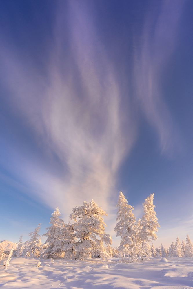 Photograph by Ольга Мусиенко