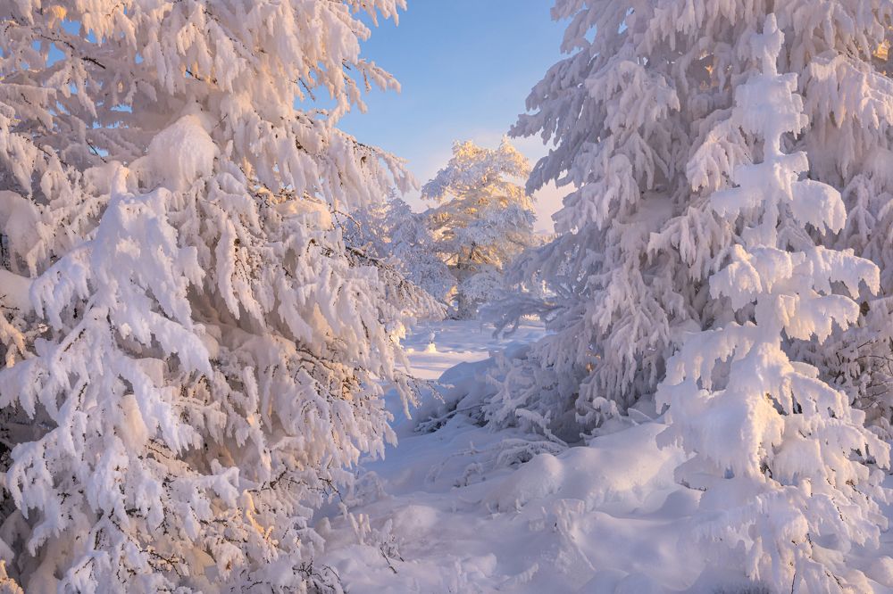 Photograph by Ольга Мусиенко