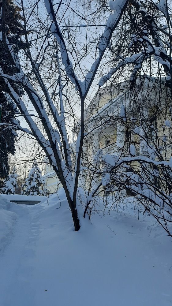 Photograph by Olga