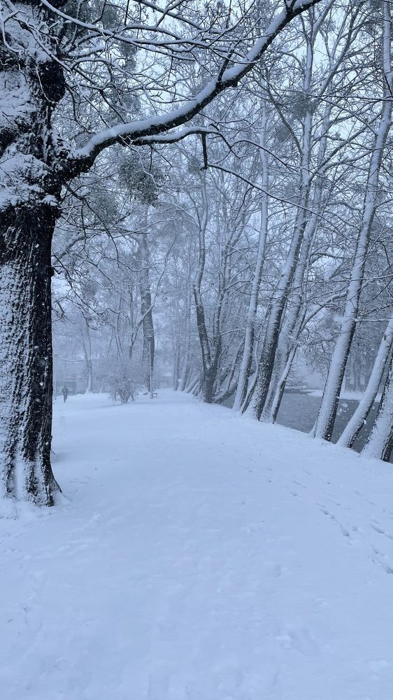 Photograph by Ирина Шпак