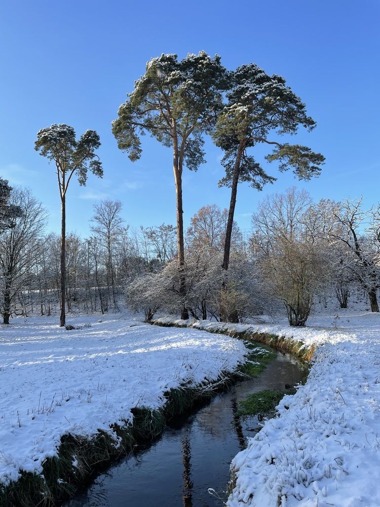 Photograph by Ирина Шпак