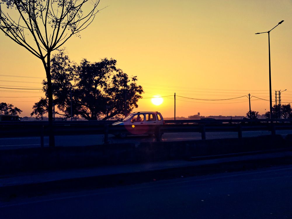 Photo #10112796