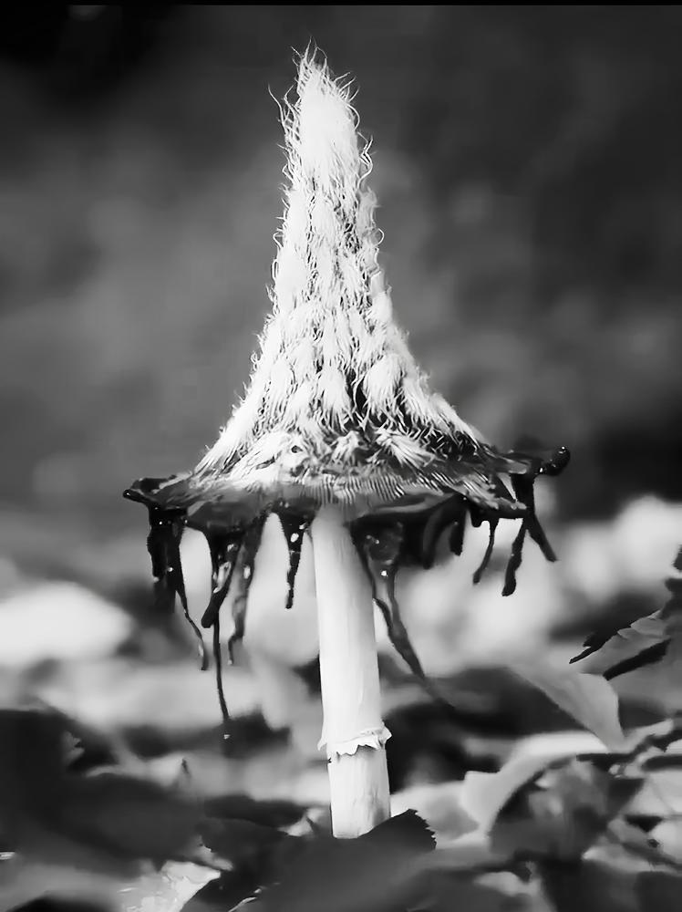 Photograph by Андрей Шевченко