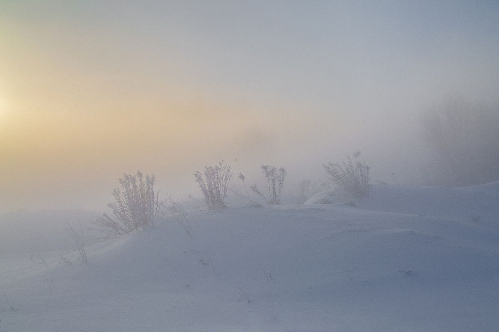 Photograph by Sodomelle Flavian